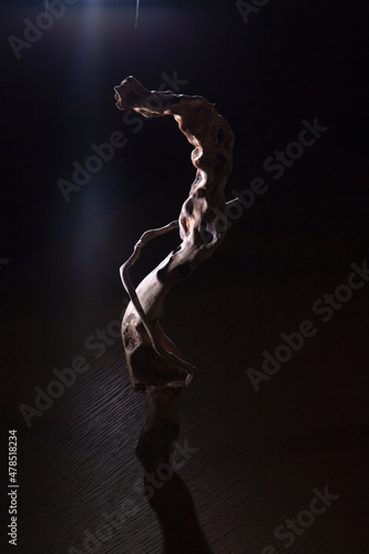 Contours of roots on a dark background. Old textural roots