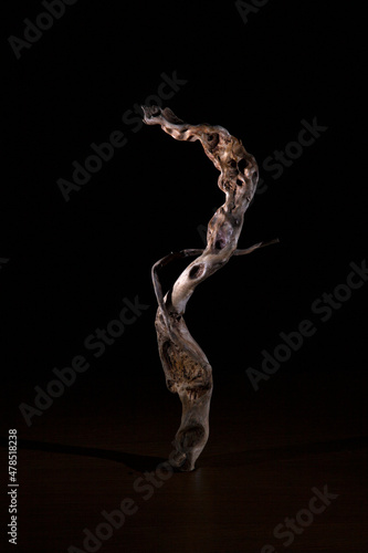 Contours of roots on a dark background. Old textural roots