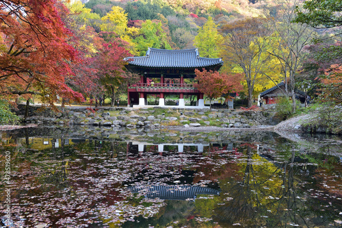 On October 31, 2020, the autumn scenery of Ssanggyeru Pavilion in Baekyangsa Temple, Jangseong-gun, Jeollanam-do, Korea.