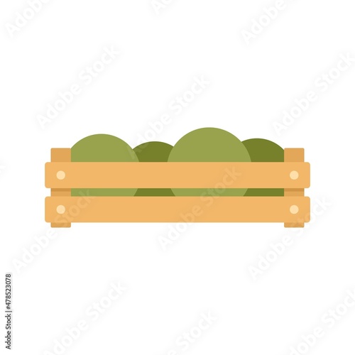 Fruits wood box icon flat isolated vector