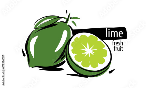 Drawn vector lime on a white background
