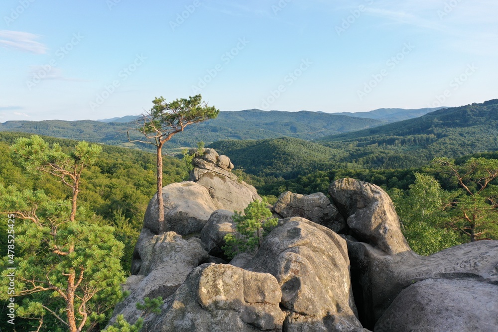 Ukraine, Ivano-Frankivsk, Dovbush rocks, summer, evening, stone, panorama on Dovbush rocks in the summer evening, drone 