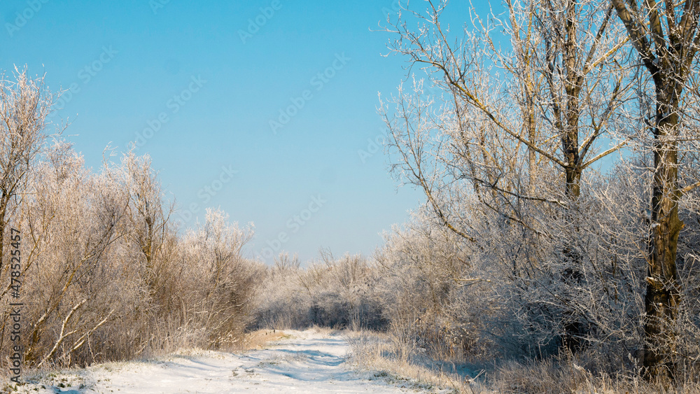 Snow covered country leading into woods. Snow covered country leading into woods.