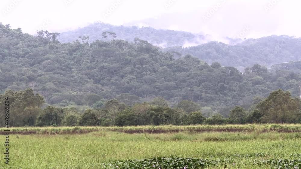 POV-Pan shot along the Tarcoles river,view on Carara National Park with clouds over the mountains POV-Pan shot along the Tarcoles river,view on Carara National Park with clouds over the mountains