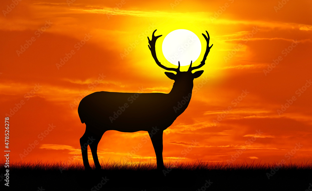Silhouette of a deer against a sunset background, the deer holds the sun in  its antlers Stock Photo