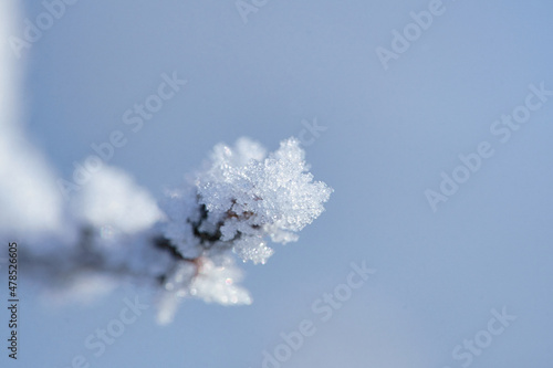 Fényképezés Ice crystals on a branch with textured and bizarre shapes