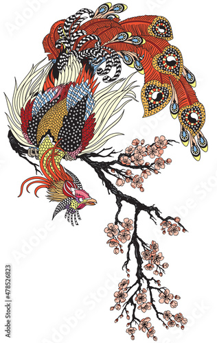 a magical phoenix sitting on a blossom sakura branch. Chinese mythological bird Feng Huang. One of celestial Feng shui creatures. Vector illustration 