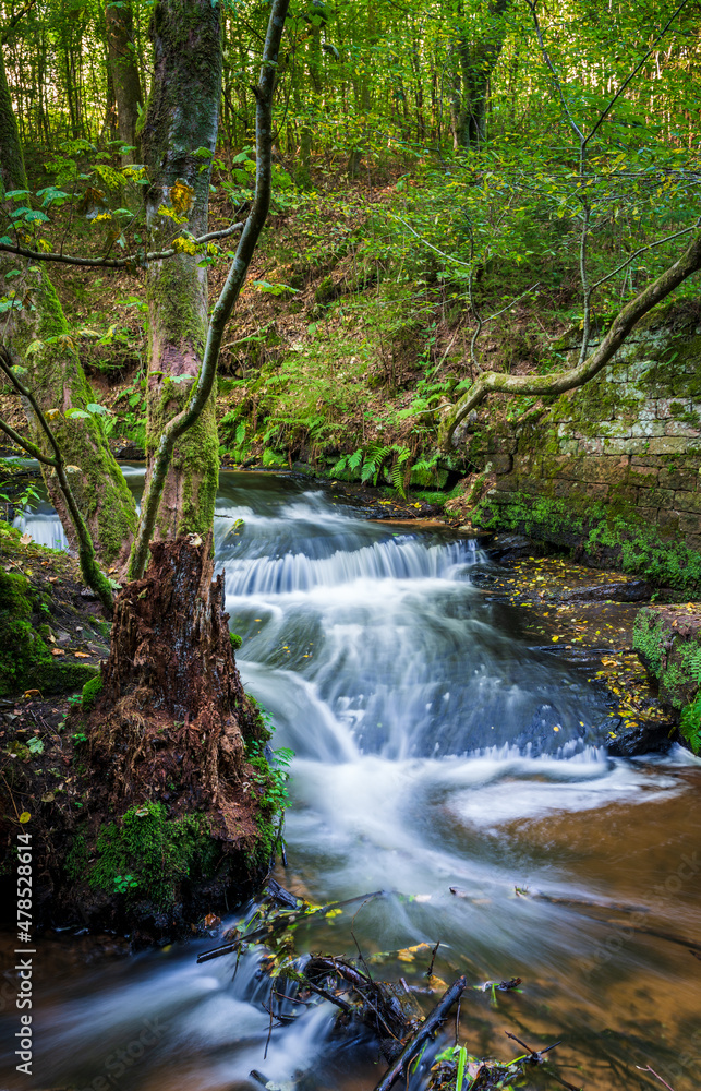 Obraz premium Karlstal gorge near Trippstadt in the Palatinate Forest, long exposure of the Moosalb