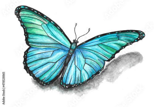 Hand-drawn watercolor illustration of a blue butterfly with glitter elements. Realism. Idea for entomology books, posters, postcards, etc. © Anastasia