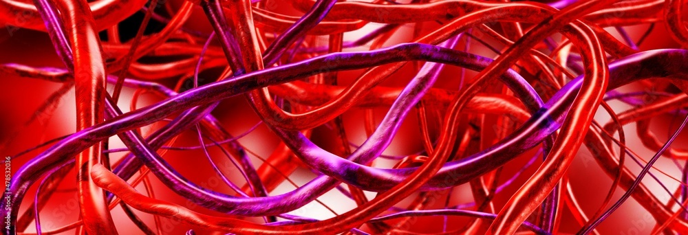 Veins and arteries, blood vessels, circulatory system, abstraction, 3D rendering Veins and arteries, blood vessels, circulatory system, abstraction, 3D rendering