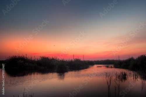 Wallpaper Mural Nature and art Torontodigital.ca