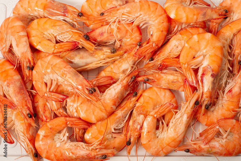 Shrimps on a white substrate in a shop. Background of cooked crustacean langoustines Shrimps on a white substrate in a shop. Background of cooked crustacean langoustines