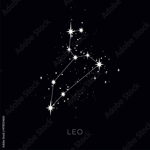 Star constellation zodiac leo vector