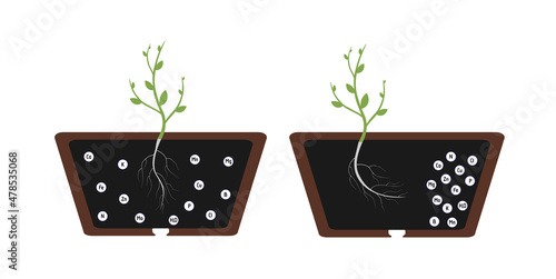 Chemotropism is defined as the growth of organisms navigated by chemical stimulus from outside of the organism. The root of the plant tends to the soil with fertilizers, nessesary for growth.