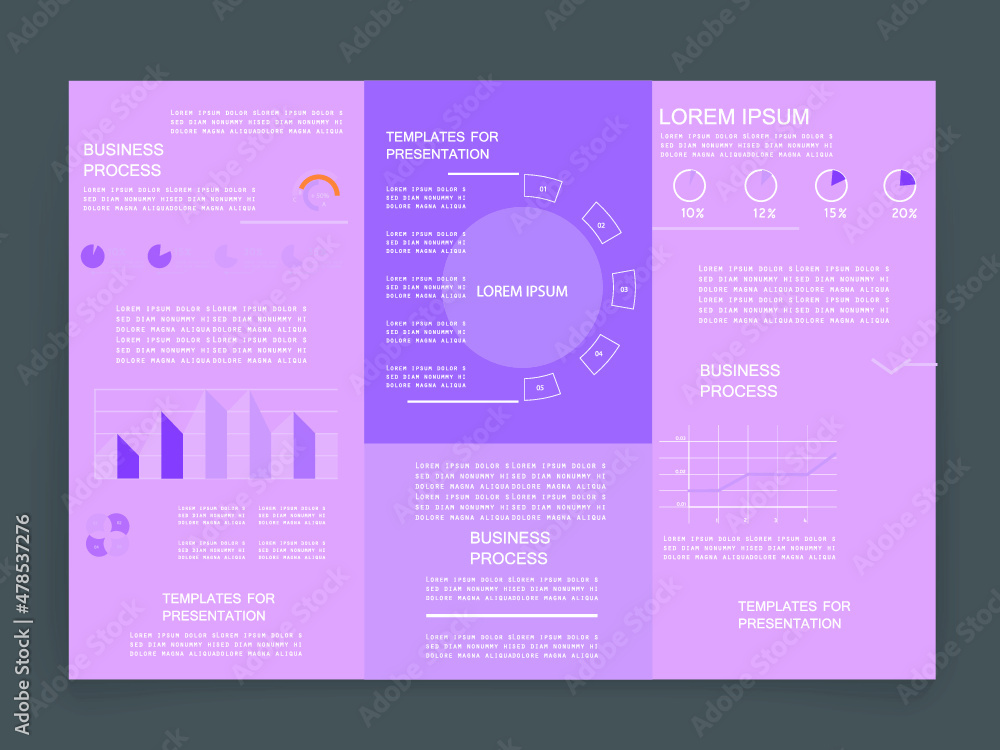 Fototapeta premium Brochure for business reports, cover layout and infographics