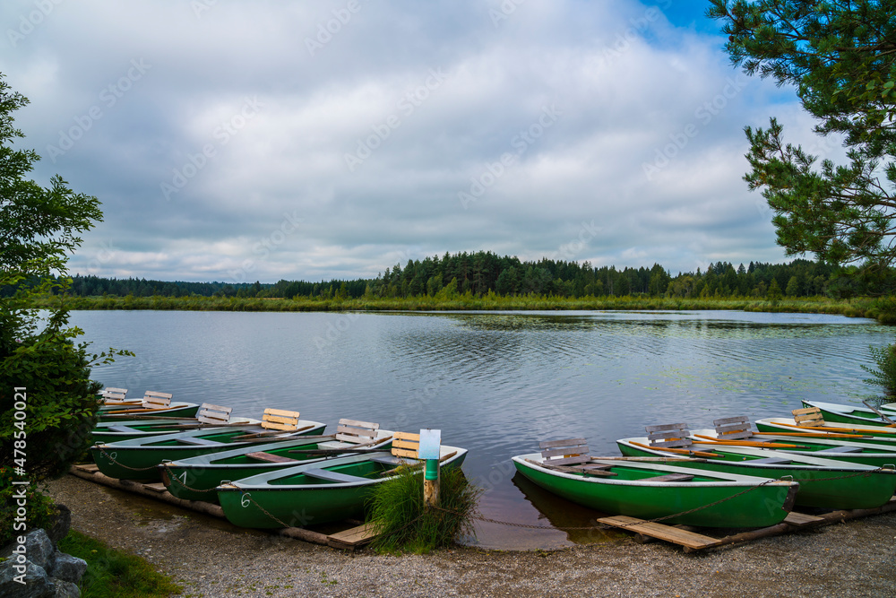 Many green rowboats at  lakeside at a boat rental station ready for some sports on a small lake between green forest nature landscape