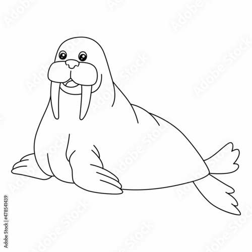 Walrus Coloring Page Isolated for Kids