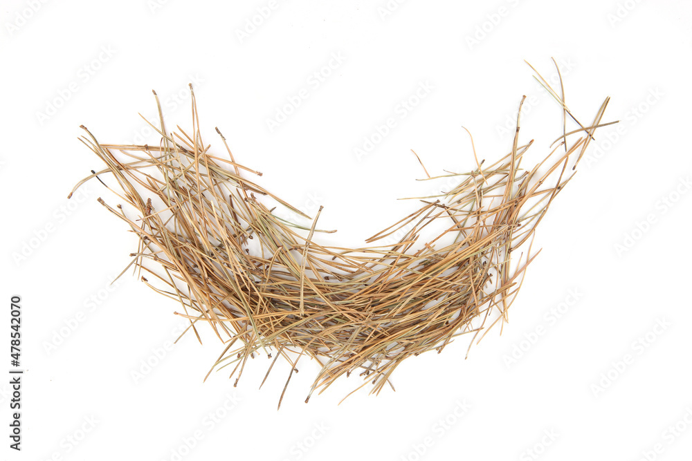 Fototapeta premium Pile of pine needles isolated on white background. Heap of dried coniferous tree needles, top view.
