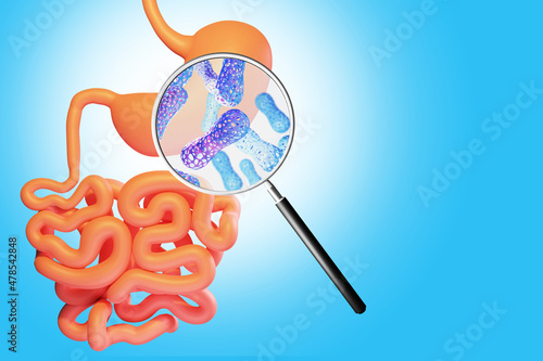 Microflora of gastrointestinal tract. Micro bacteria in stomach. Human intestines on blue background. Magnifying glass with microflora molecules. Caring human body concept. Peoples health. 3d image photo