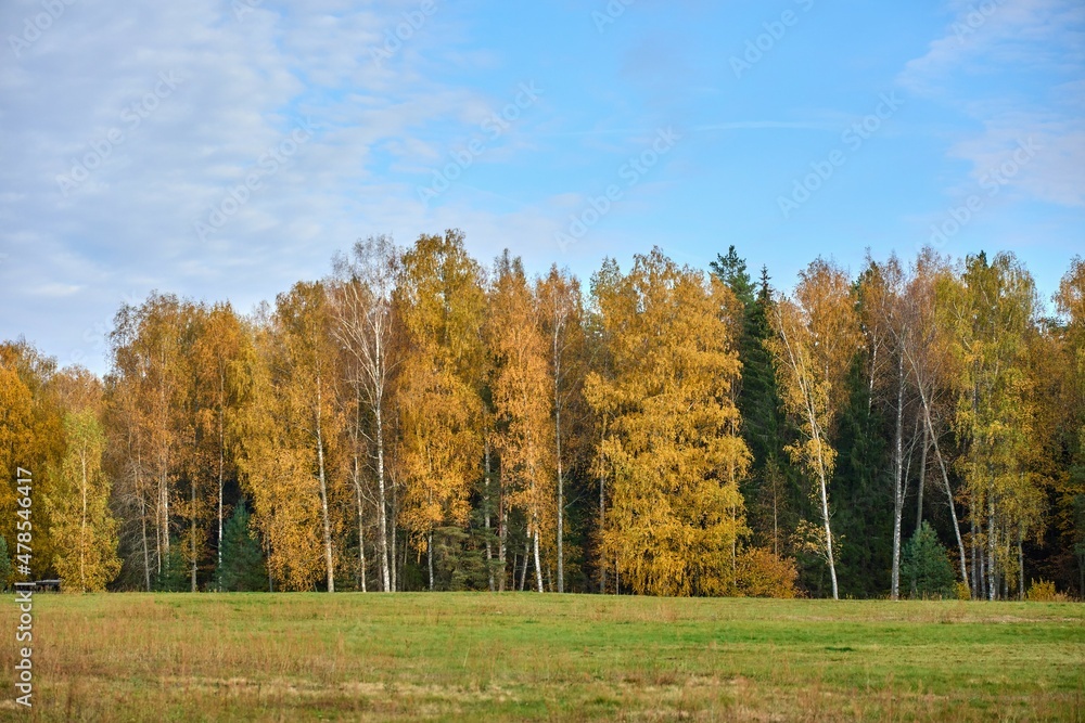 Stunning autumn time colours in Russia