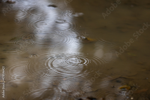 rain drops in a puddle 