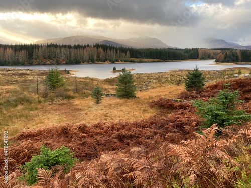 Loch Laggan - Scottish Highlands photo