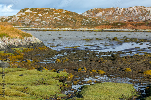 Loch Laxford - Scotland