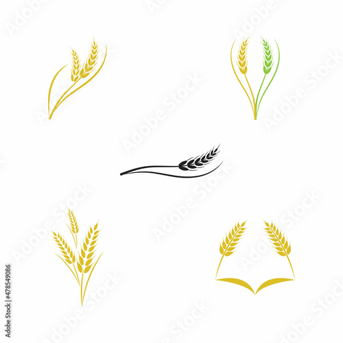 Agriculture wheat vector icon design