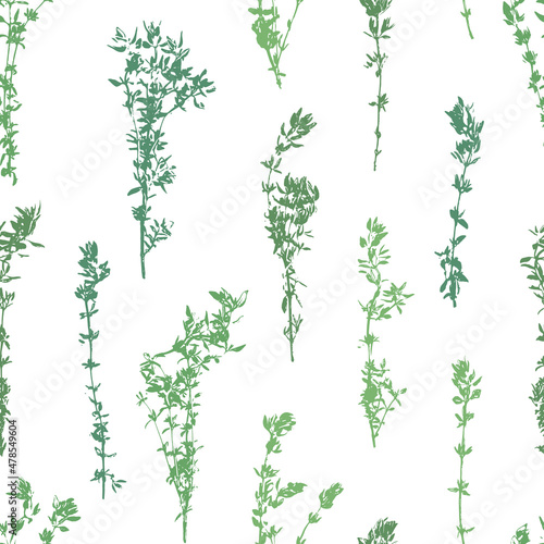 Thyme grunge pattern. Thyme herb abstract retro background. Herbal plant. Gardening, culinary and aromatherapy.