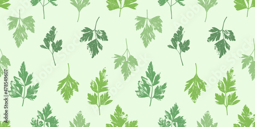 Parsley herb grunge pattern. Parsley, celery abstract herbal plant retro background. Gardening, culinary and aromatherapy.