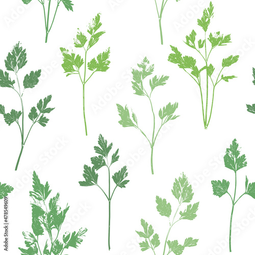 Parsley herb grunge pattern. Parsley  celery abstract herbal plant retro background. Gardening  culinary and aromatherapy.