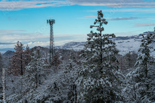 Cell Tower on Snowy Day