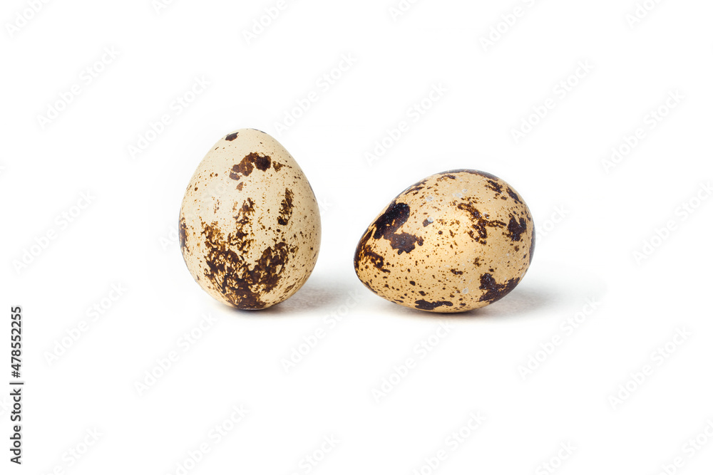 Two quail eggs on a white background. Close-up Two quail eggs on a white background. Close-up