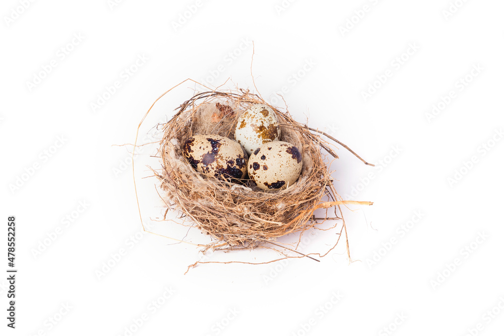 Three quail eggs in a nest on a white background. Closeup Three quail eggs in a nest on a white background. Closeup