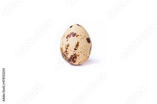 Quail egg on a white background. Close-up