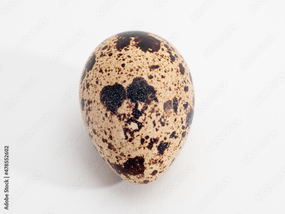 Quail eggs isolated. Quail eggs isolated on white background. Quail eggs isolated. Quail eggs isolated on white background.