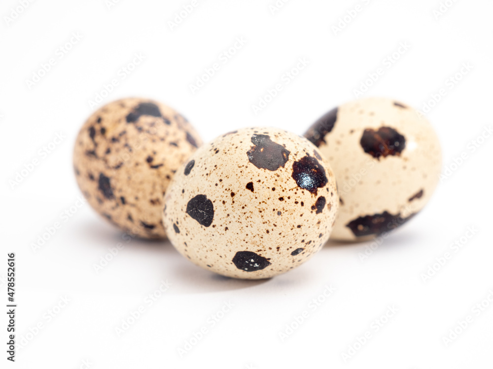 Quail eggs isolated. Quail eggs isolated on white background. Quail eggs isolated. Quail eggs isolated on white background.