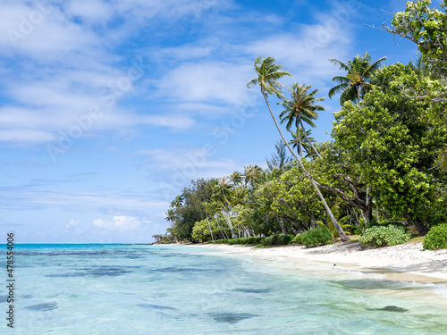 Summer vacation on a tropical island with palm trees