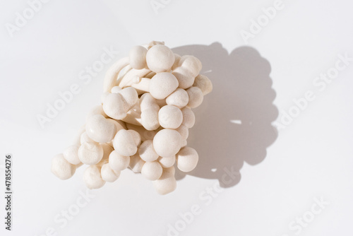 Setas frescas de haya blanca, seta Buna Shimeji. Grupo de hongos comestibles sobre fondo blanco. Vista superior photo