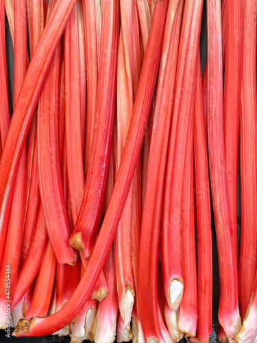 Schilderij op canvas Rhubarb Stalks
