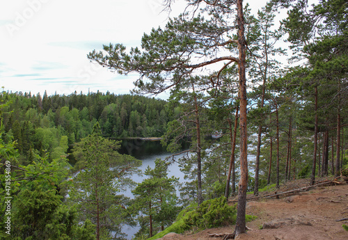 View of the forest and Lake Ladoga from Valaam Island