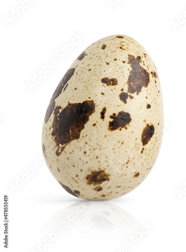 Single quail egg isolated on white background.
