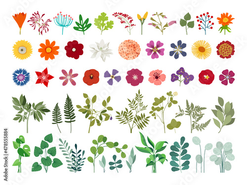 set of differents flowers decoration on white background