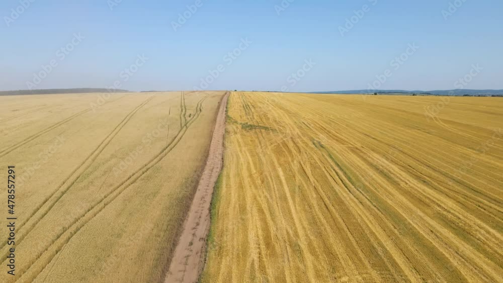 Aerial landscape view of yellow cultivated agricultural field with dry straw of cut down wheat after harvesting Aerial landscape view of yellow cultivated agricultural field with dry straw of cut down wheat after harvesting