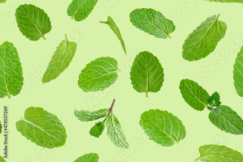 Seamless pattern of green mint leaves.