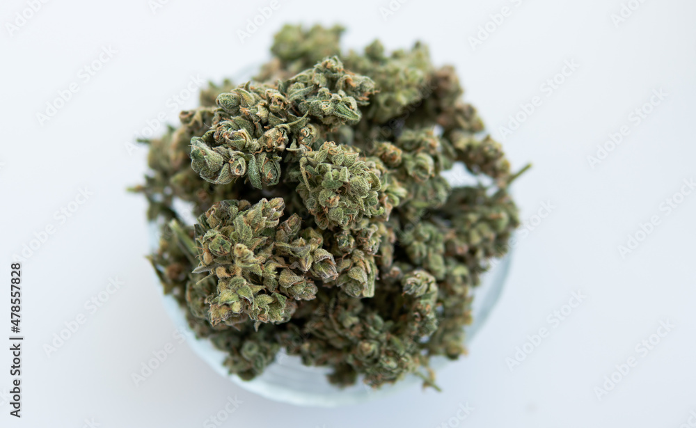 cultivation of medicinal strains of marijuana for the treatment cultivation of medicinal strains of marijuana for the treatment