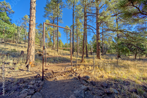 Gateway to the Woodchute Mountain Wilderness Arizona
