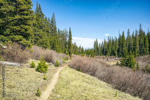 Hiking trail in the Mount Evans Wilderness, Colorado