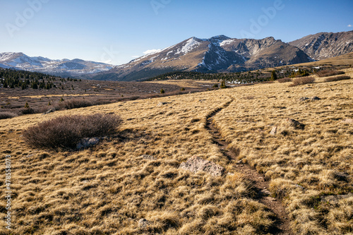 High trail in the Mount Evans Wilderness, Colorado