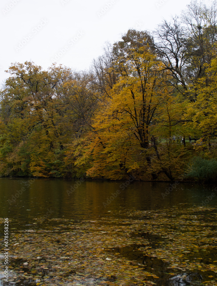 Fototapeta premium lake in the autumn park
